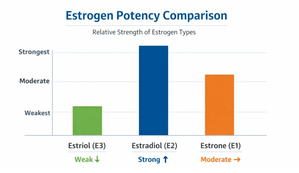 Estrogen Potency Comparison for Estriol Estradiol and Estrone