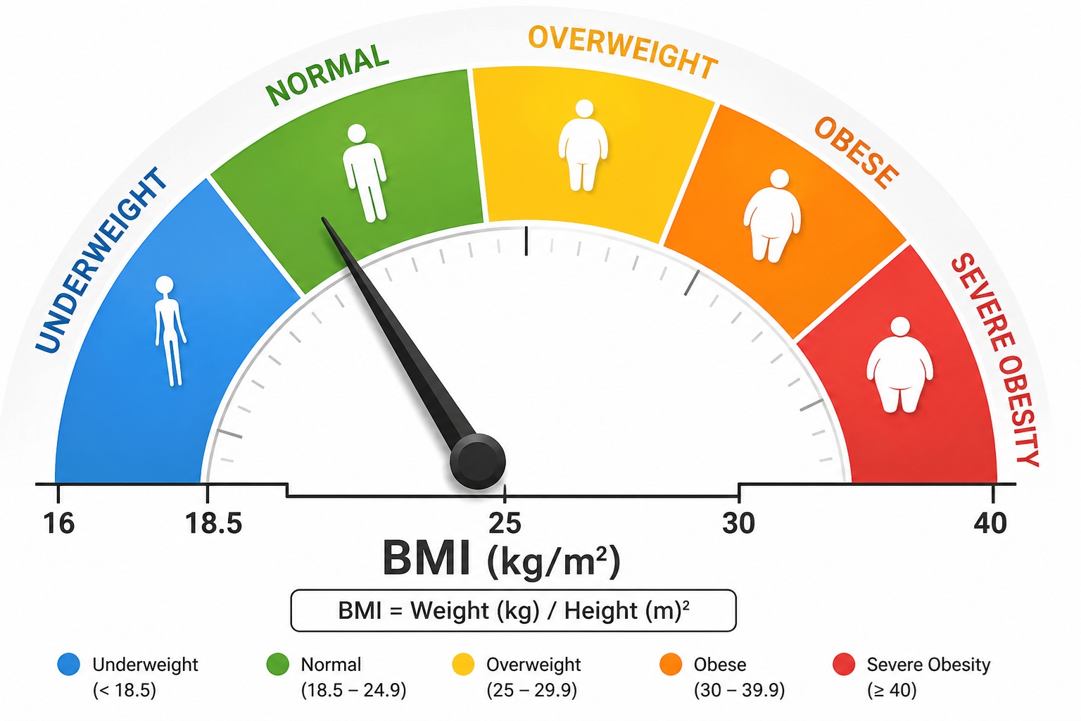 BMI Chart - Color Gauge