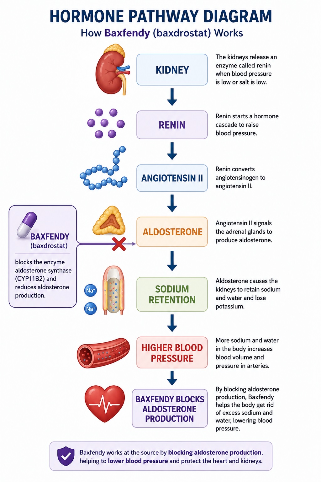 How Baxfendy Works Diagram